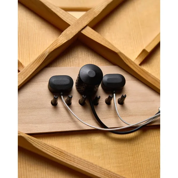 L.R. Baggs HiFi Duet